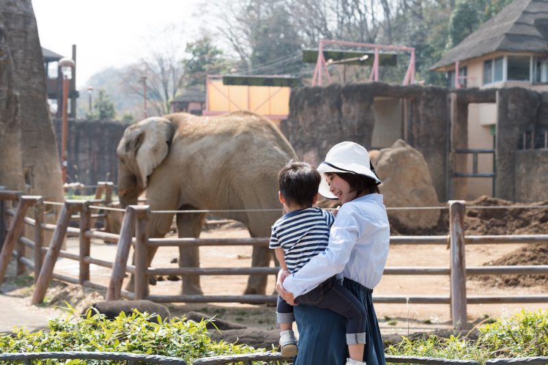 乳幼児の動物園デビューはいつから？